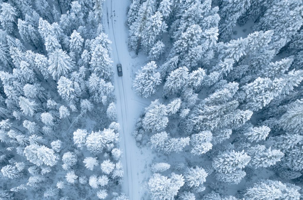 Vehicle driving through snowy trees during winter
