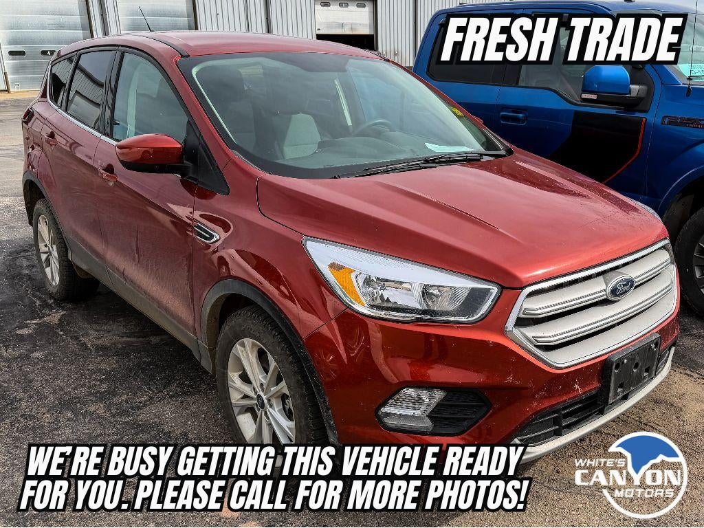2019 Ford Escape SE
