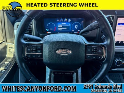 2025 Ford F-250 Super Duty Platinum