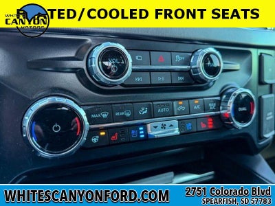 2025 Ford F-250 Super Duty Platinum