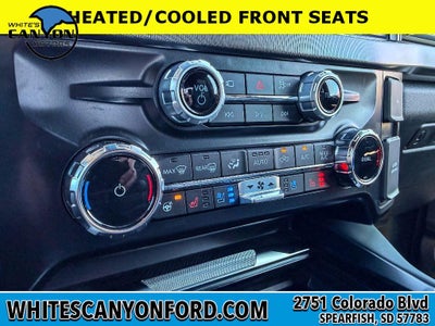 2025 Ford F-350 Super Duty Platinum