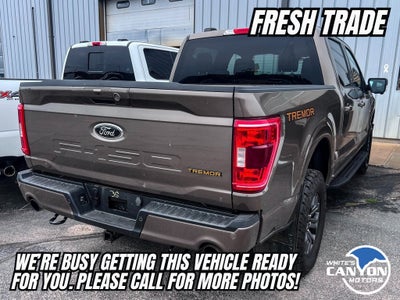 2023 Ford F-150 Tremor