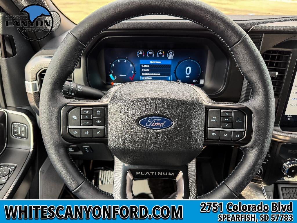 2025 Ford F-150 Platinum