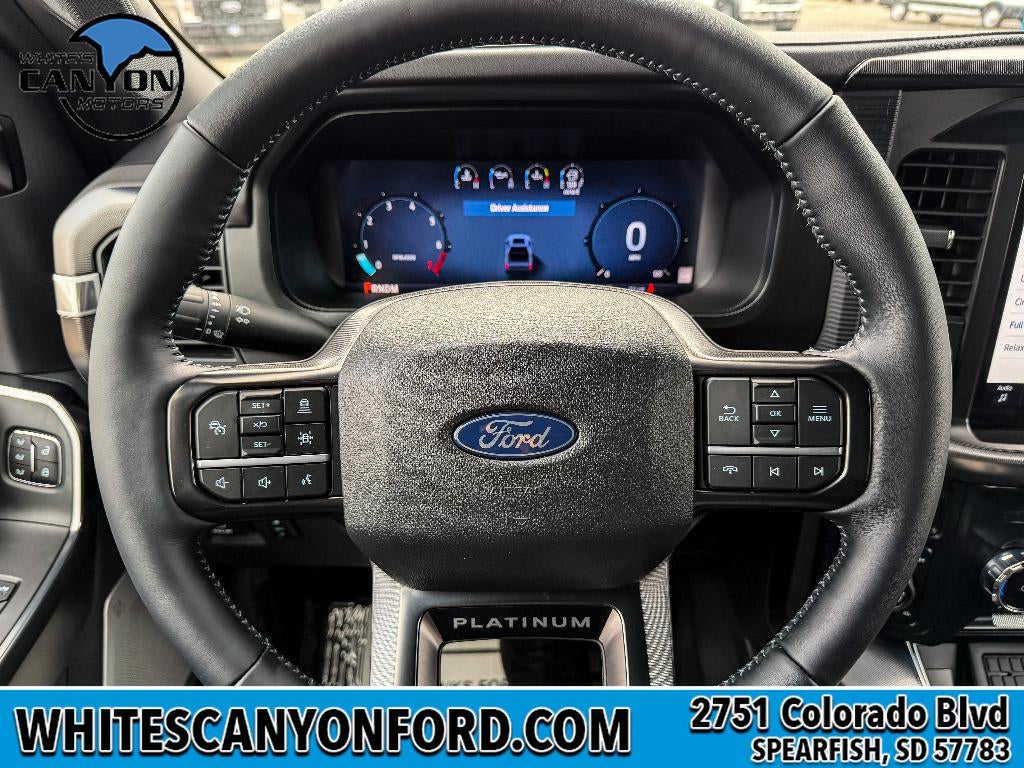 2025 Ford F-150 Platinum