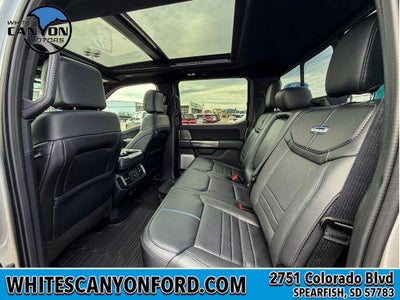 2025 Ford F-150 Platinum